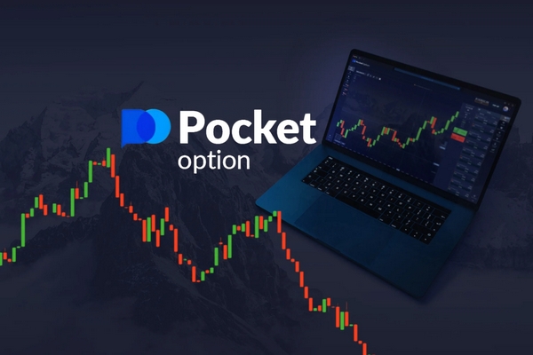 Pocket Option Traders Введение в мир бинарных опционов