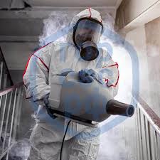 Травля насекомых в Новосибирске 1