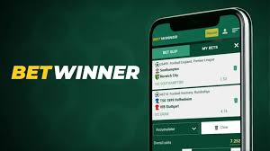 Betting on BetWinner A Comprehensive Guide 2086730642